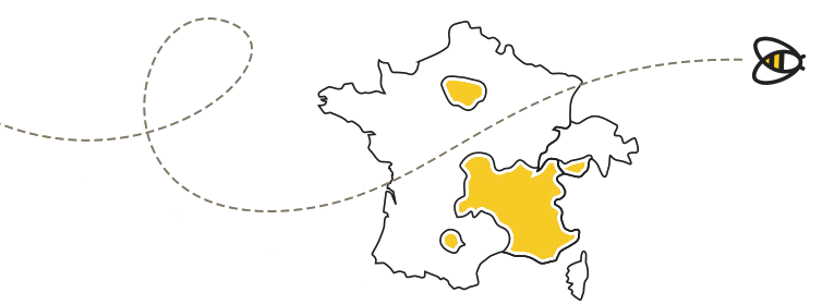 Le réseau Apidae tourisme en France